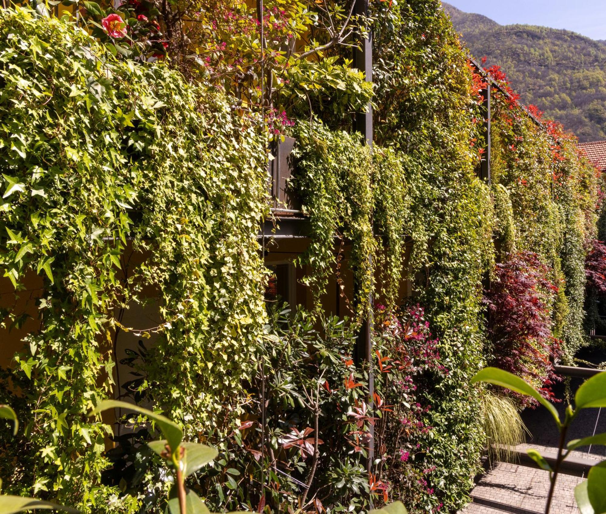 Residence Casa Coppa Appartamento Ivy Omegna Buitenkant foto