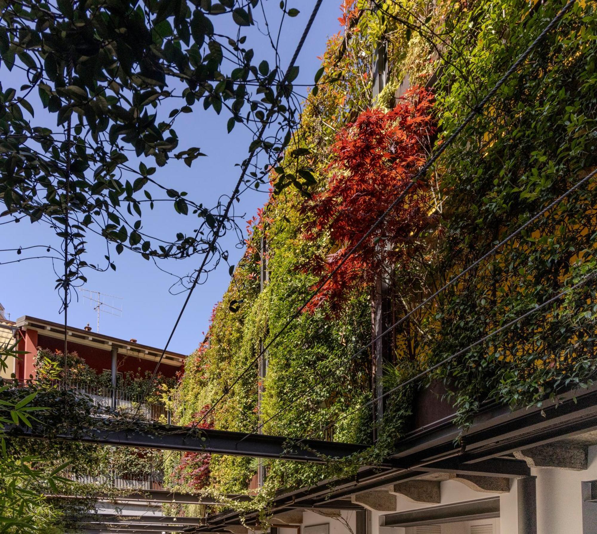 Residence Casa Coppa Appartamento Ivy Omegna Buitenkant foto